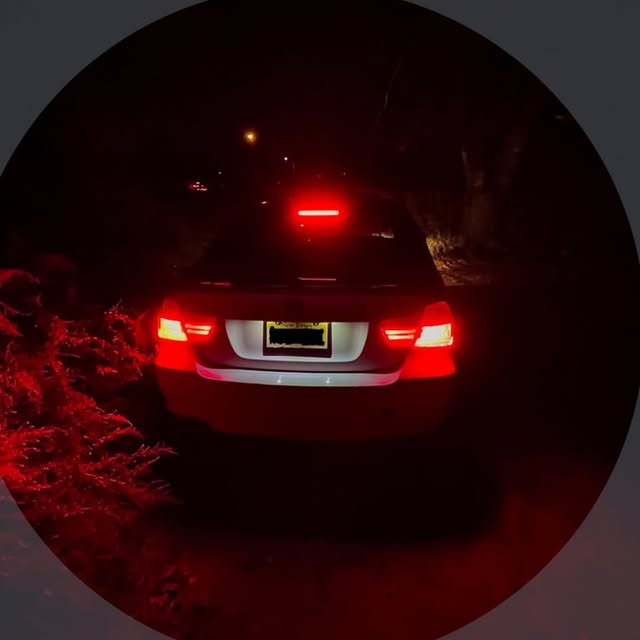 bm335's avatar