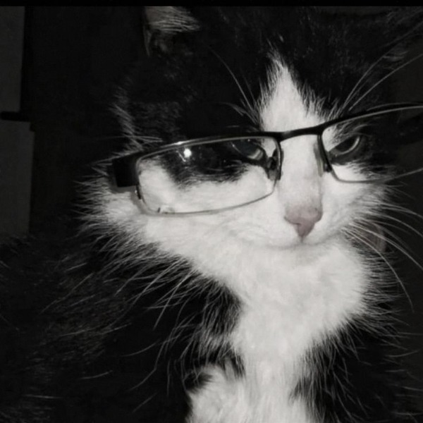 awfulbones's avatar