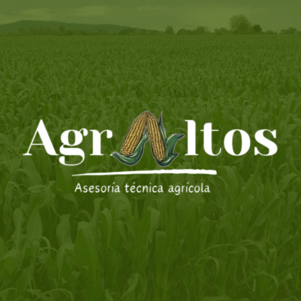 agraltos's avatar