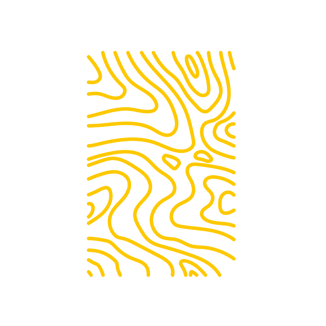 Kavak.Studio's avatar