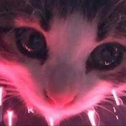kalzstores's avatar