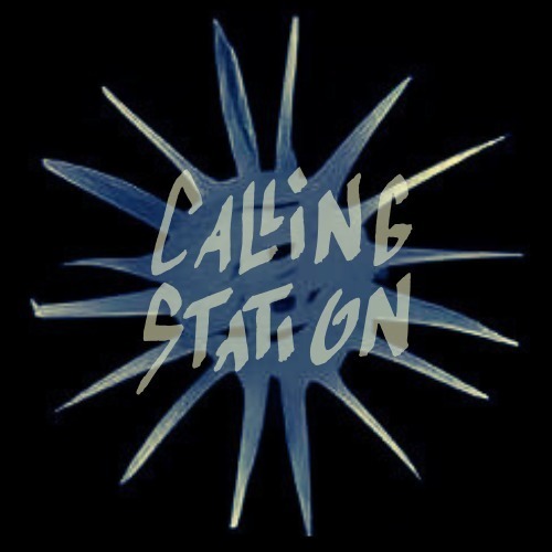 callingstation's avatar