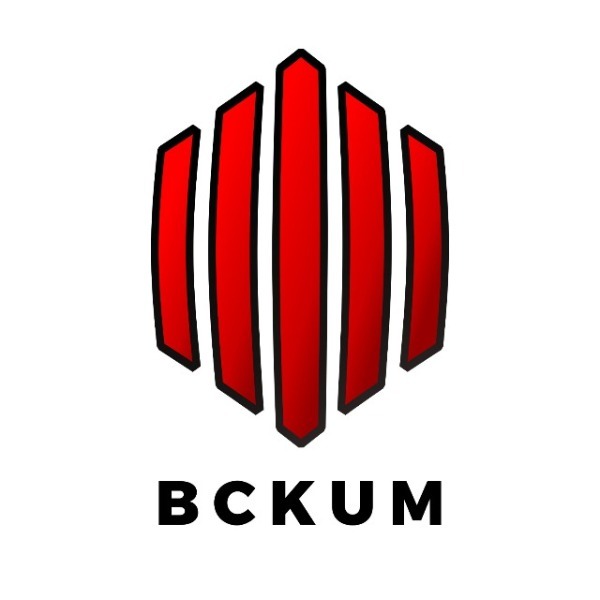 bckum.project's avatar