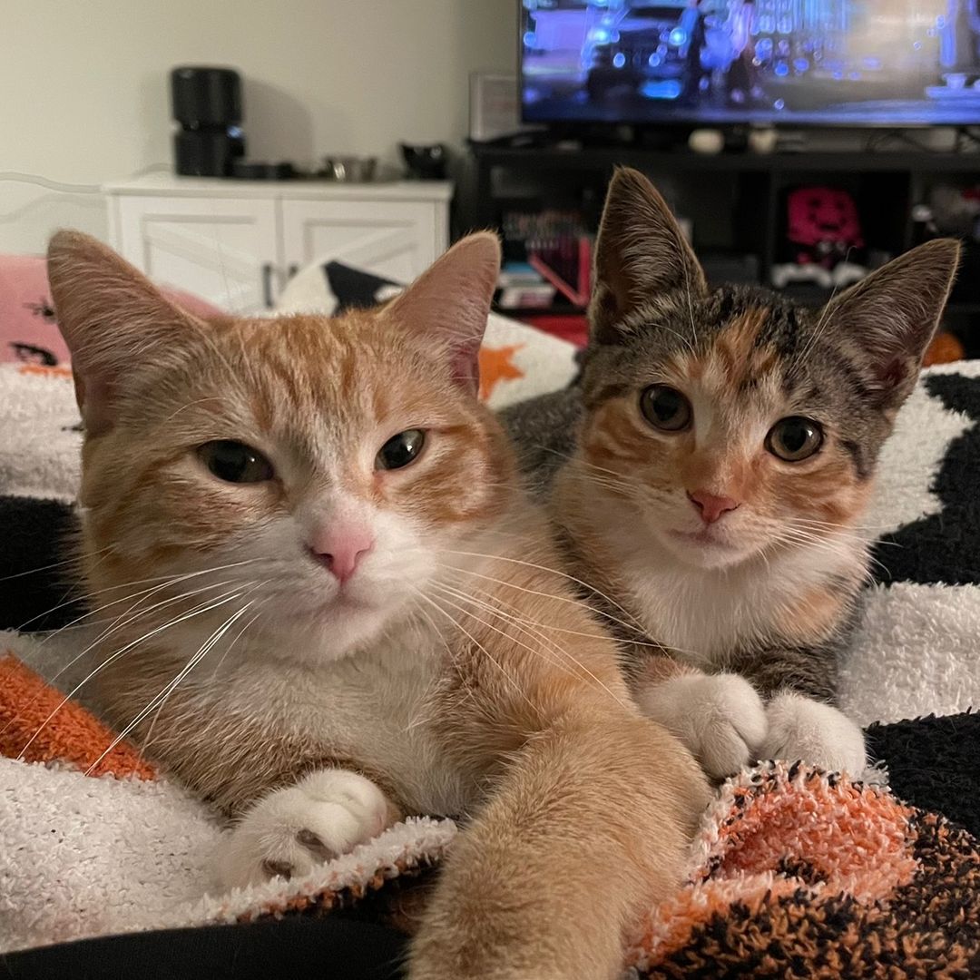 jbeanandnala's avatar