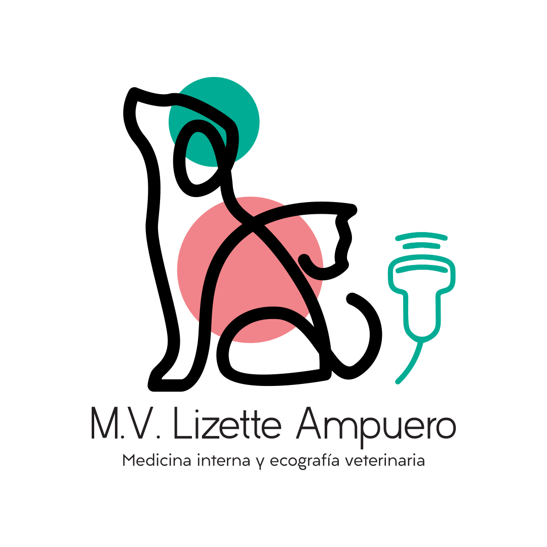 dra.lizetteampuero's avatar
