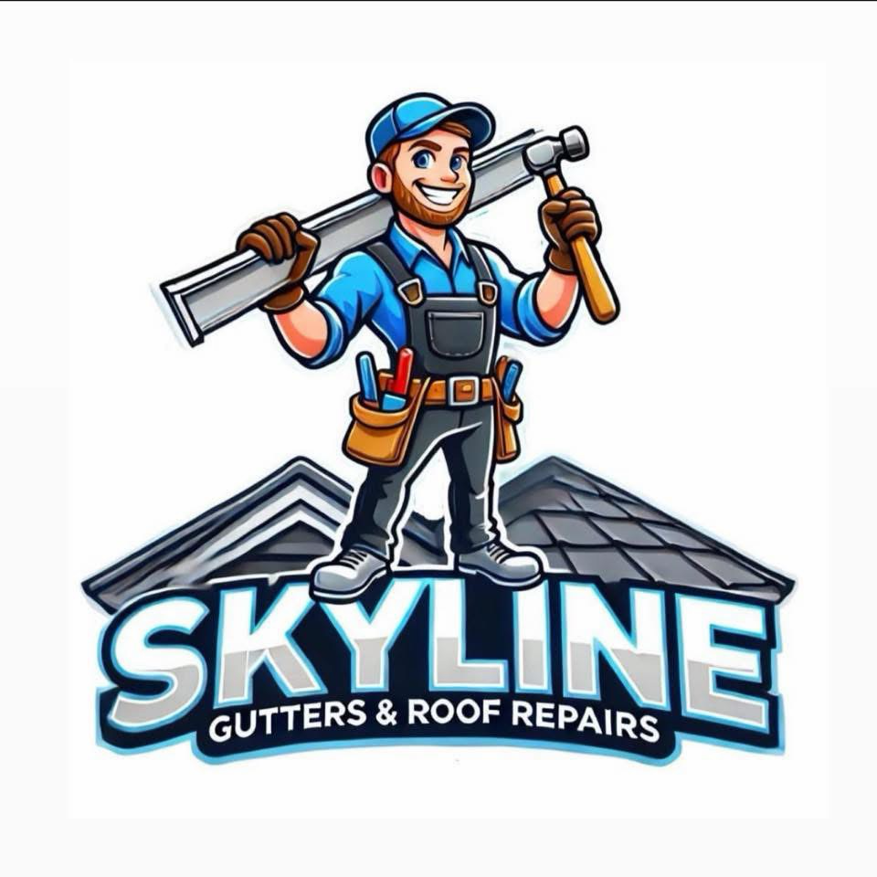 skylineguttersandroofrepairs's avatar