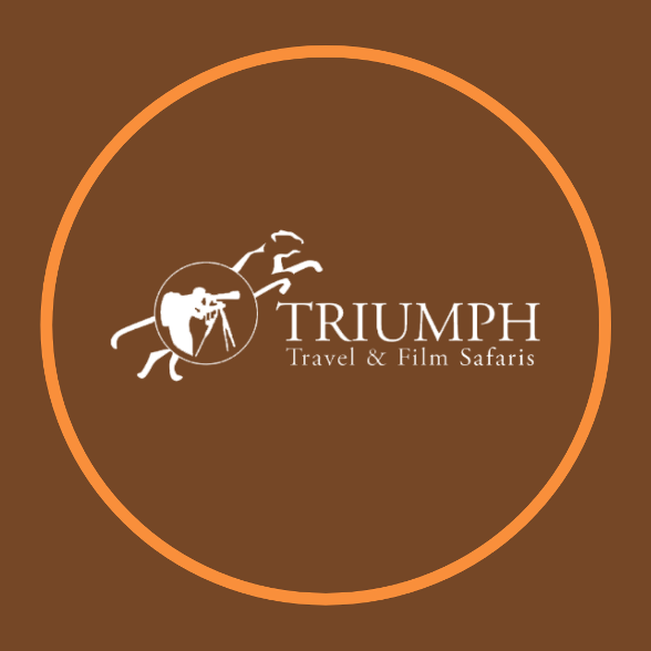 triumphsafaris's avatar