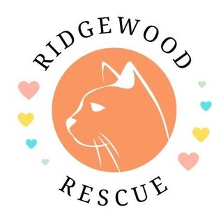 ridgewoodrescuecats's avatar