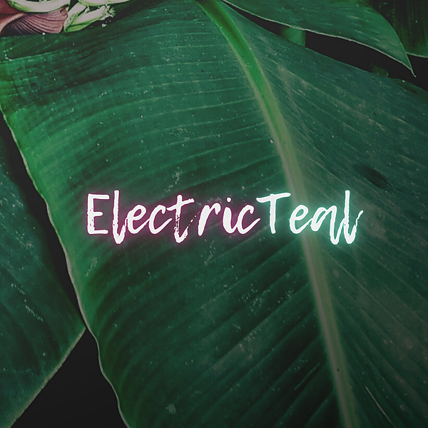 electricteal's avatar