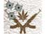 Narcoviolencia