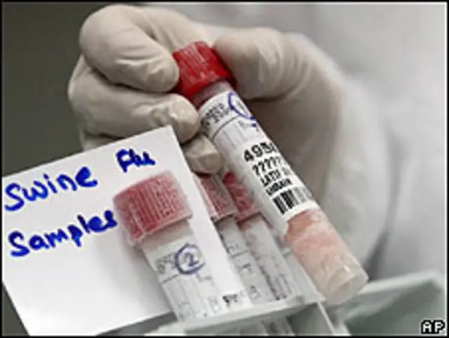 Pruebas de laboratorio para detectar la presencia de gripe porcina