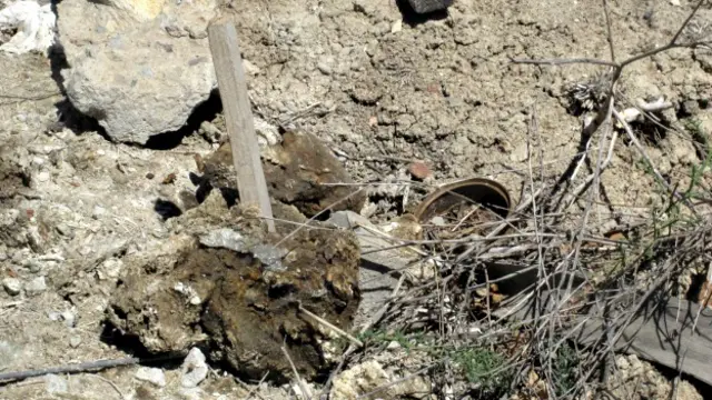 Asociación Unidos por los Desaparecidos de Baja California