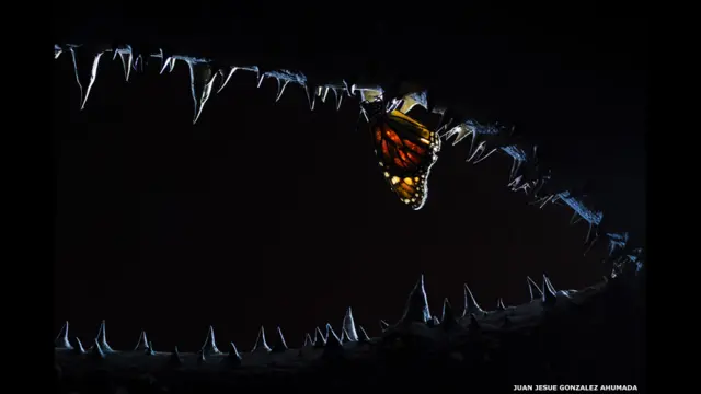 "Las fauces de la noche", de Juan Jesús González Ahumada