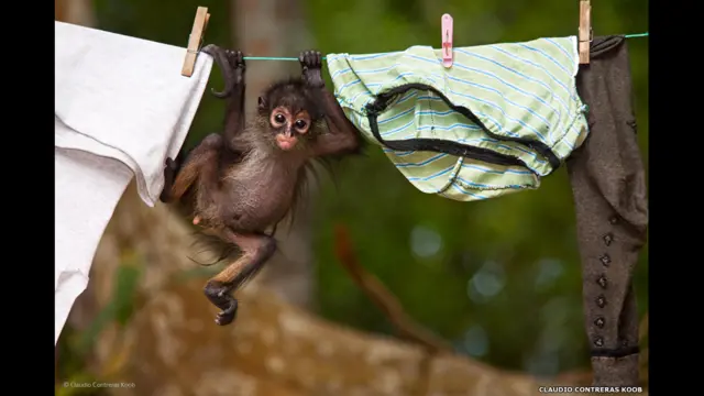 "Old cloths", de Claudio Contreras Koob