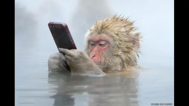 "Facebook update" de Marsel van Oost