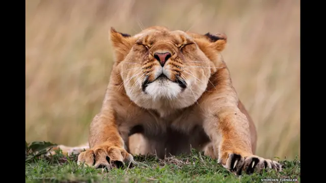 "Stretching", de Stephan Tuengler