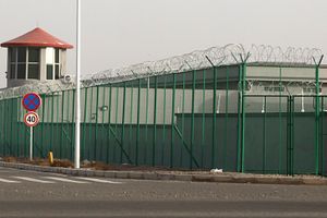 Which Countries Are For or Against China’s Xinjiang Policies? Which Countries Are For or Against China’s Xinjiang Policies?