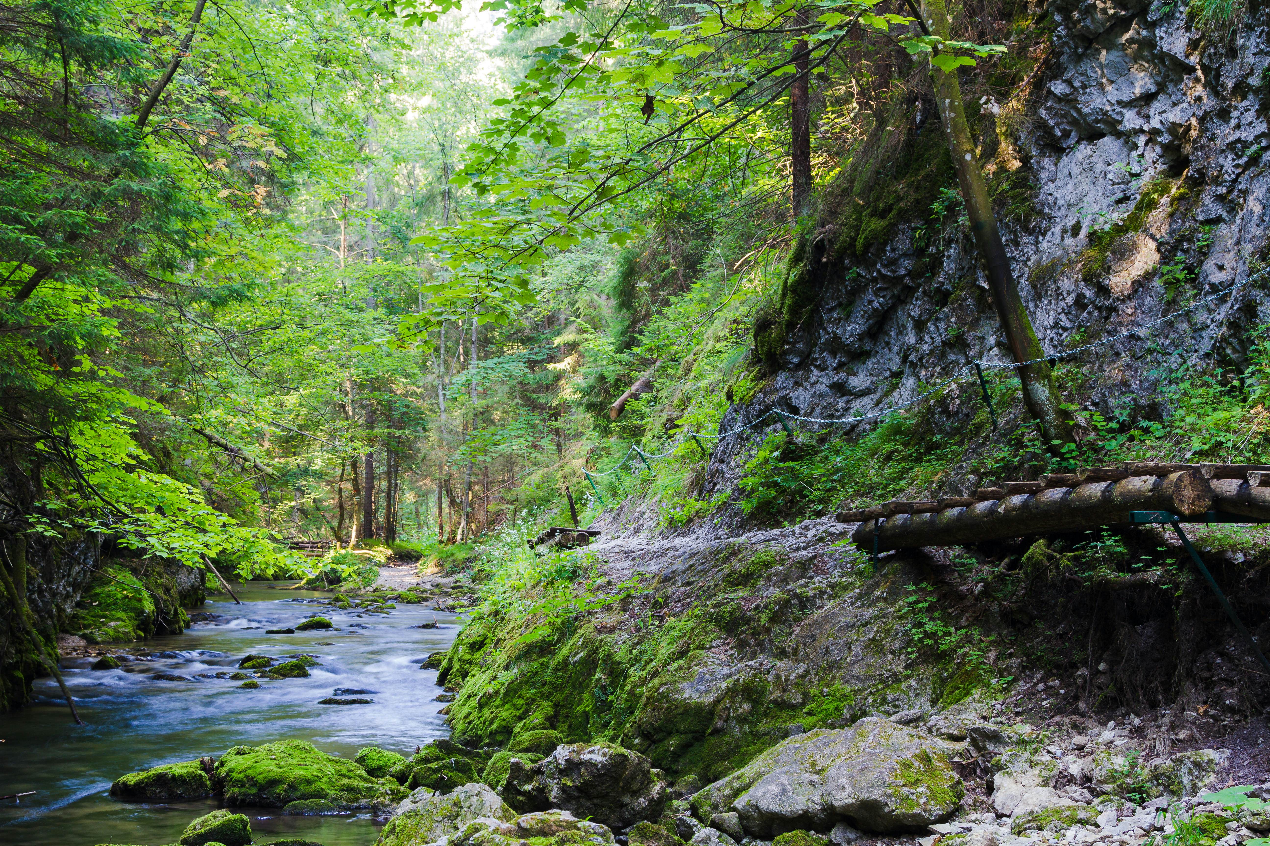 Slovak Paradise, Slovensky Raj National Park, Slovakia.