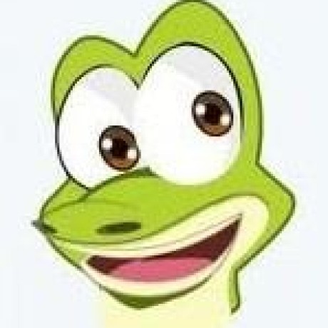 @mrfrogcoder