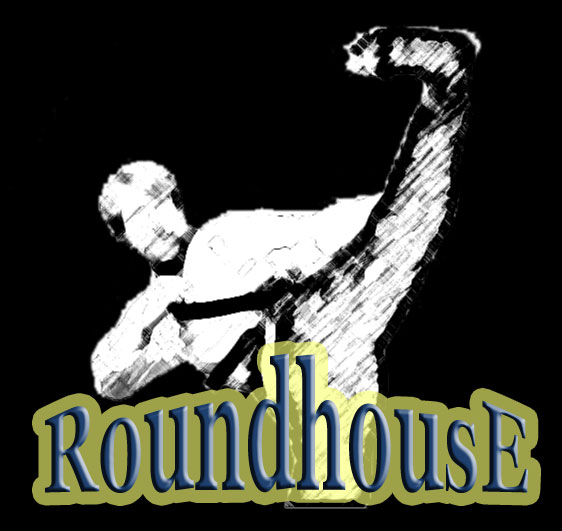 RoundhousE - Professional Database Management