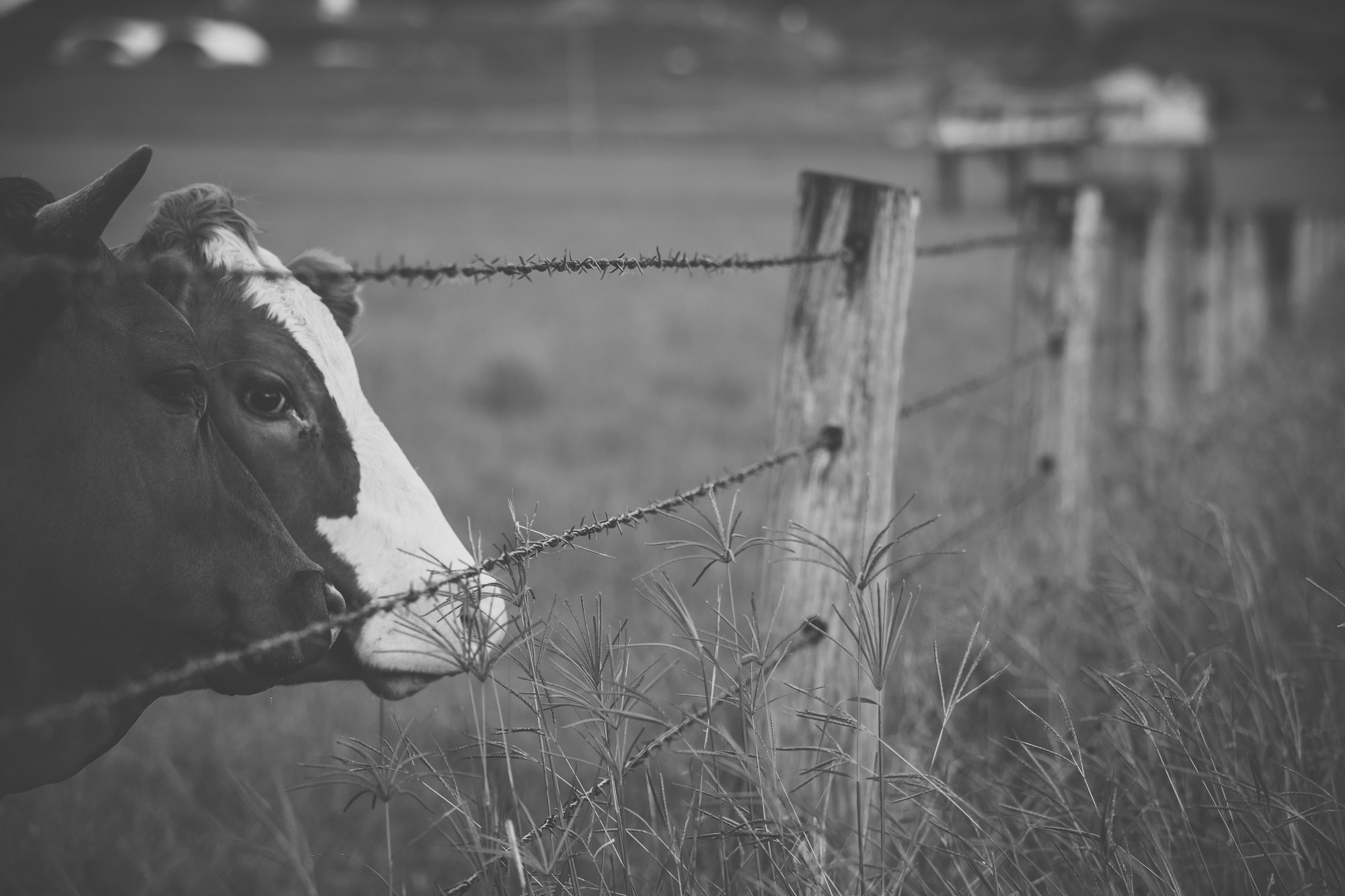 Ілюстративне зображення. Depositphotos.