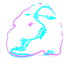 GIF